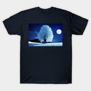 Moonlit Winter Night T-Shirt